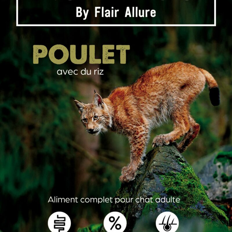 croquettes pour chat