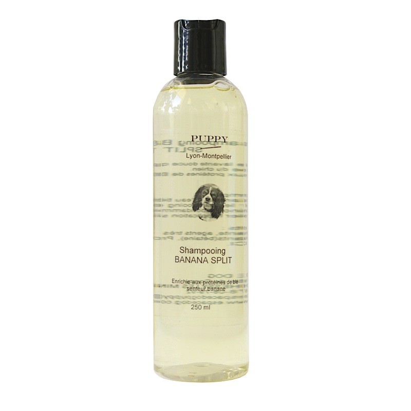 shampooing pour chien,